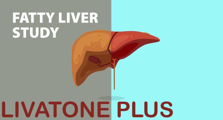 Fatty Liver Study