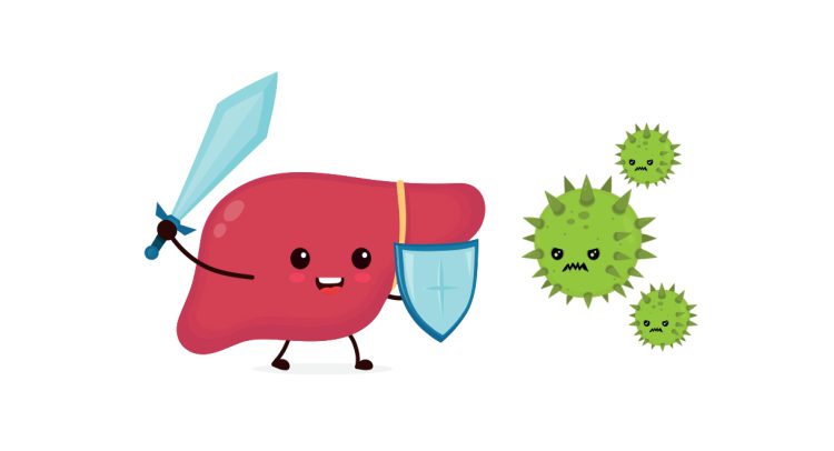 Hepatitis C natural remedies