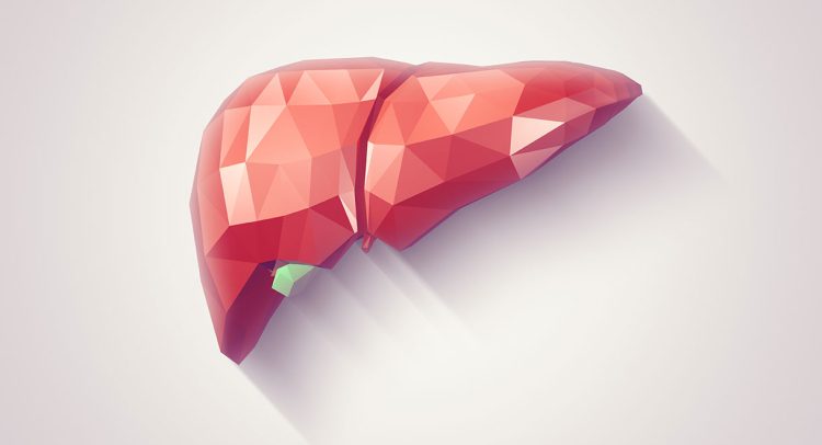 Gilbert’s Syndrome: A Common Liver Condition You May Not Know