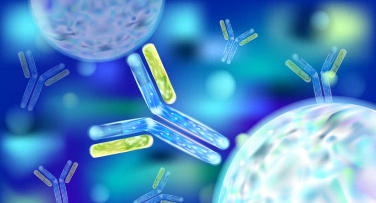 Your Immune Health Checkup