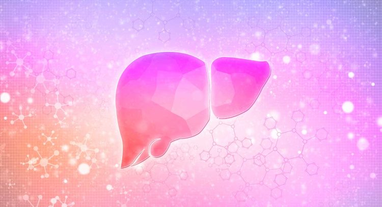 Focal Nodular Hyperplasia