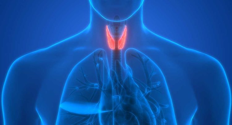 Overactive Thyroid Gland