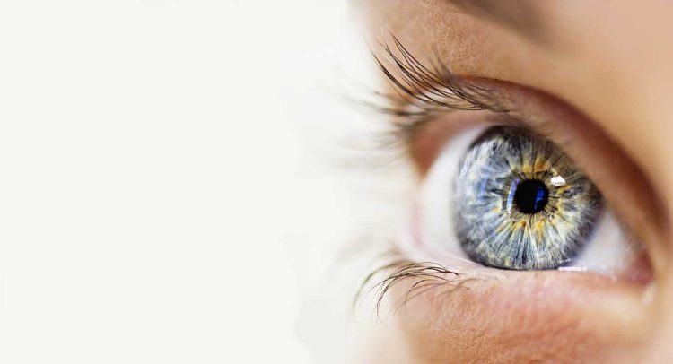 Can Antioxidants Help To Protect Your Vision?