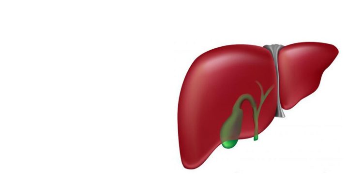 5 Surprising Facts You May Not Know About Your Liver
