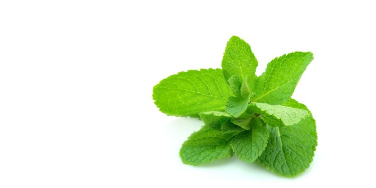 Vegetable juice for clear skin