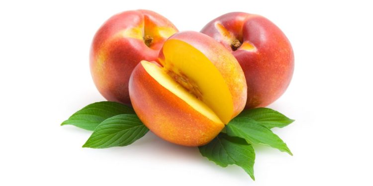 Grain free nectarine cobbler