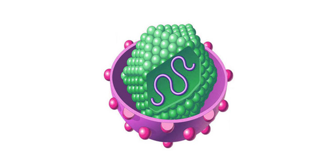 Hepatitis C Breakthrough