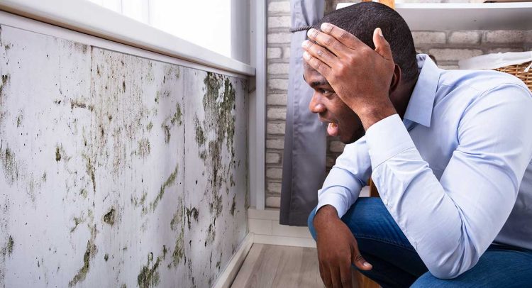 Living In A Damp Or Moldy House Can Create Sleeping Problems