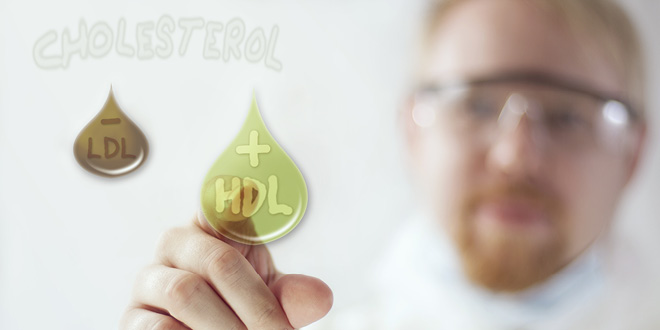Cholesterol – the “real” real truth!