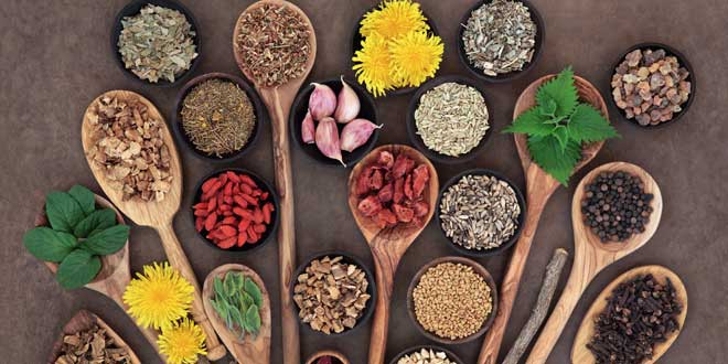 Anti-Viral Foods For Infections