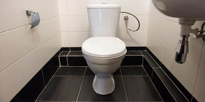 You should always put the toilet lid down when you flush