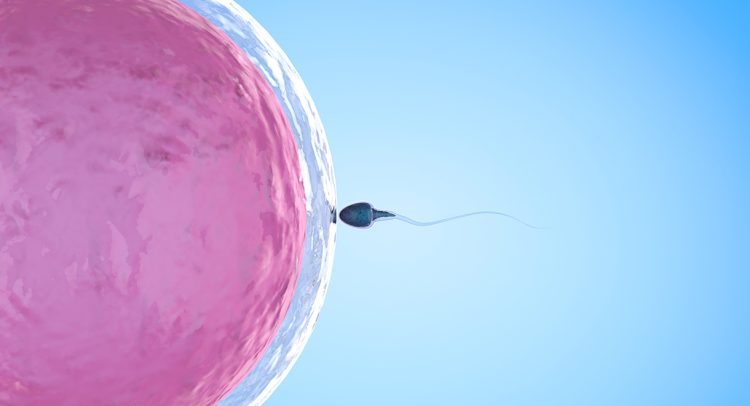 Selenium Helps To Keep Sperm Healthy