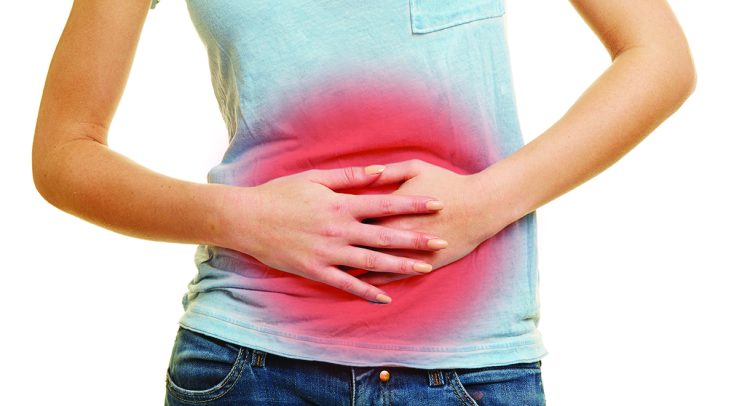 Link Between Gut Bugs And Multiple Sclerosis