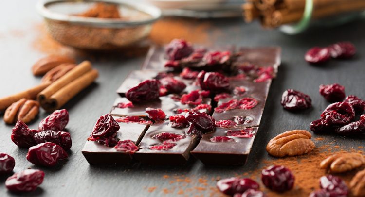 Dairy-Free Cranberry Chocolate Bark