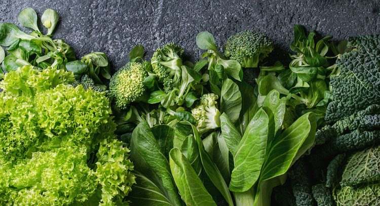 Leafy Greens Slow Down Brain Aging