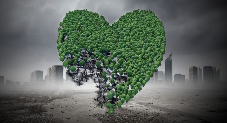 Air Pollution Could Be Harming Your Heart