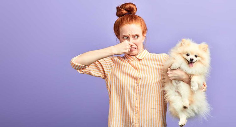 7 Possible Reasons You’re Farting Too Much