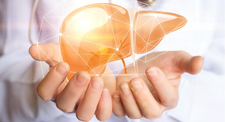 Interesting Facts You May Not Know About Your Liver