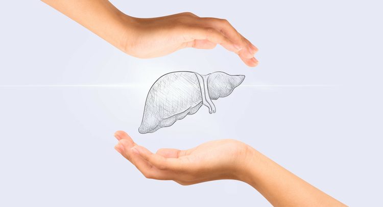 Your Liver Is The Protector Of Your Immune System
