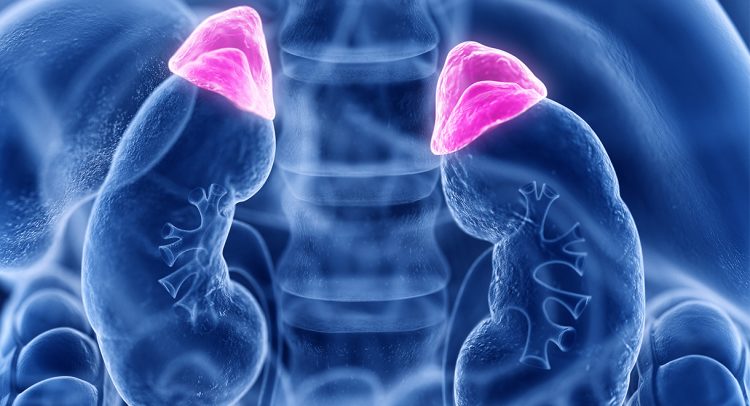 Is Adrenal Gland Fatigue The Reason You’re So Tired?