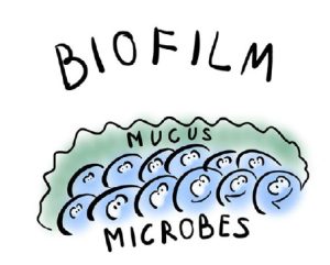 biofilm