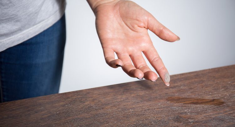 Hidden Hazards Of House Dust