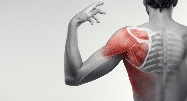 Magnesium Strengthens Muscles And Bones