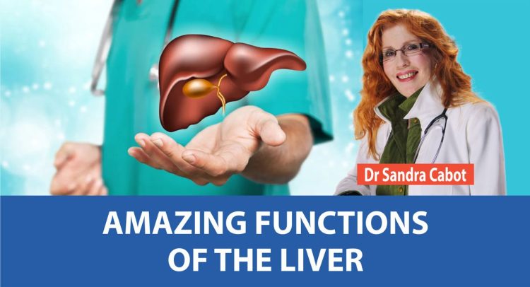 Video | All About The Liver – PART 2 The Amazing Functions Of Your Liver