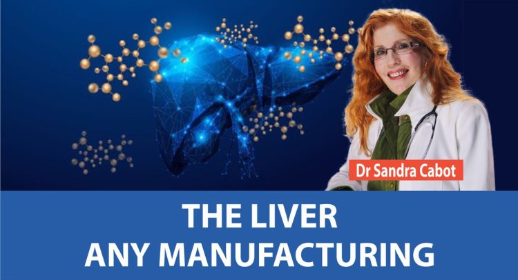 Video | All About The Liver – PART 5 The Liver And Manufacturing