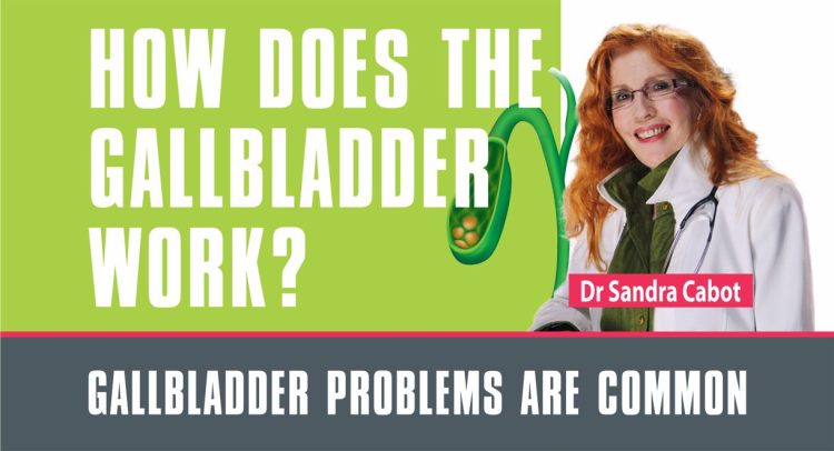 Video | Gallbladder Series Part 1 – How Does The Gallbladder Work?