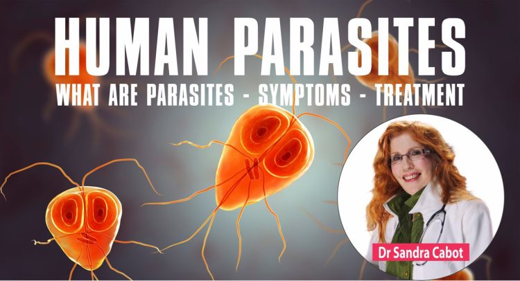 Video | Human Parasites Infestation – Symptoms And Treatment