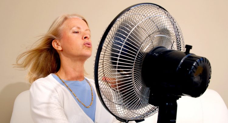 Natural Remedies To Help You Survive Menopause