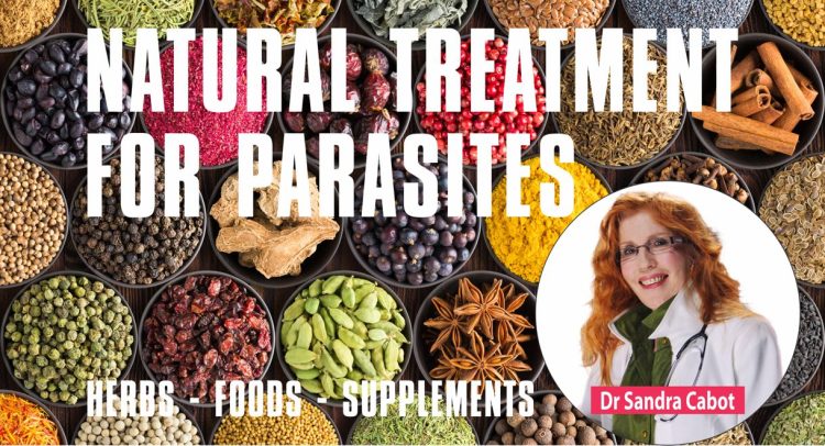Video | Parasite Cleanse – Kill Parasites Naturally | Best Anti-parasitic Herbs | Best Anti-parasitic Foods