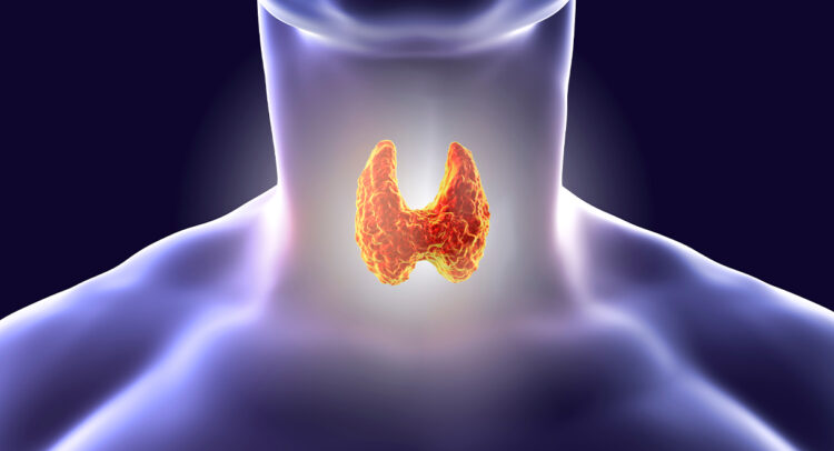 Essential supplements for those with thyroid problems